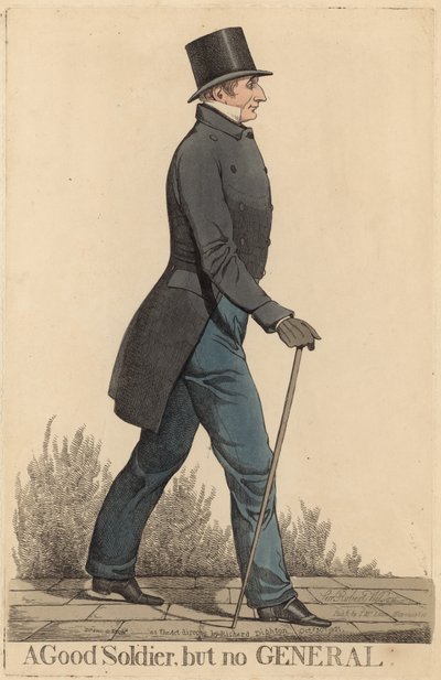 Sir Robert Thomas Wilson; Un buen soldado pero no un general de Richard Dighton