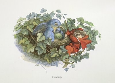 Escalada de Richard Doyle