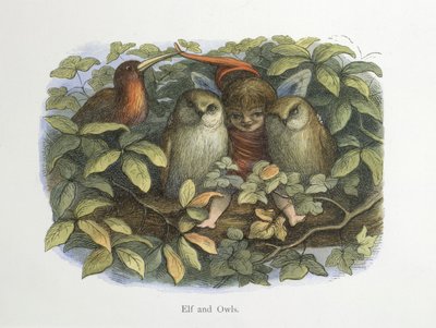 duende y buhos de Richard Doyle