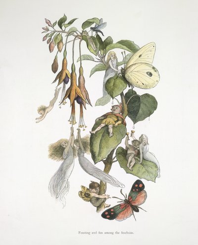 Fiesta y diversión entre las fucsias de Richard Doyle