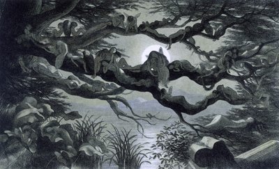 ¿Hadas, ninfas y duendes descansando a la luz de la luna en una rama? Ilustración de "" En el país de las hadas. Una serie de imágenes del mundo de los elfos"" por Richard Doyle 1869-1870 The British Library Institution Referencia: Shelfmark ID: 1876 e18 