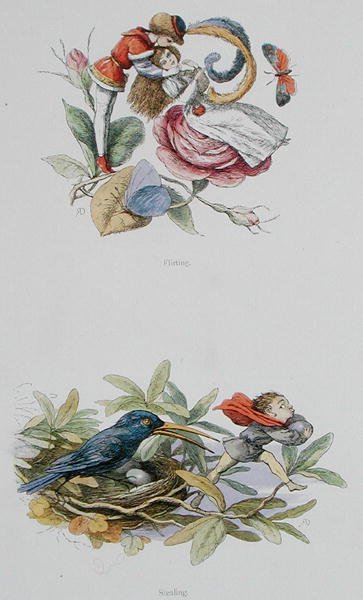 Coqueteando y Robando, ilustraciones de 