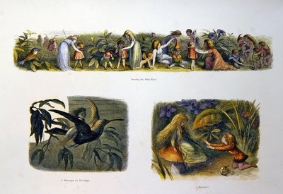 En el país de las hadas de Richard Doyle