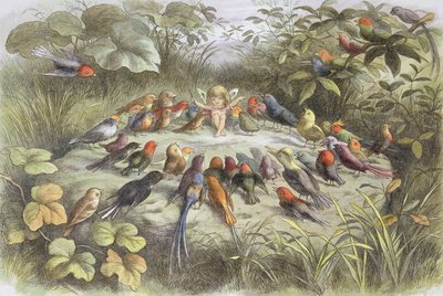 Ensayo musical en el país de las hadas (Ilustración de "En el país de las hadas. Imágenes del mundo de los elfos", de William Allingham y Andrew Lang) de Richard Doyle