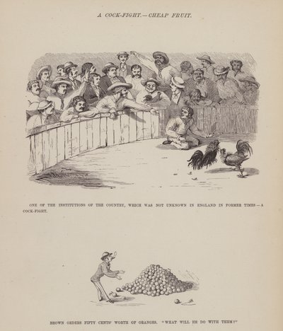 Página del Tour Americano de los Sres. Brown, Jones y Robinson de Richard Doyle