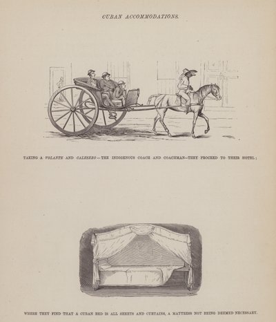 Página de El Tour Americano de los Sres. Brown, Jones y Robinson de Richard Doyle