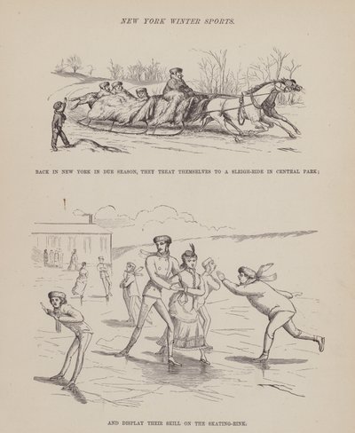 Página de El Tour Americano de los Sres. Brown, Jones y Robinson de Richard Doyle