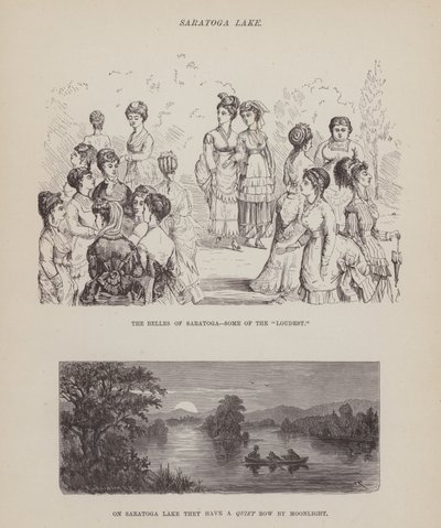 Página de El tour americano de los Sres. Brown, Jones y Robinson (grabado) de Richard Doyle