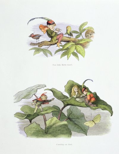 Pobre pajarito molestado, y cortejo interrumpido, ilustraciones de 