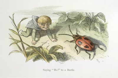 ¡Diciendo no! a un escarabajo de Richard Doyle