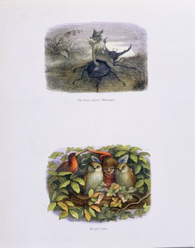 El mensajero de la reina de las hadas, y elfo y búhos, ilustraciones de 
