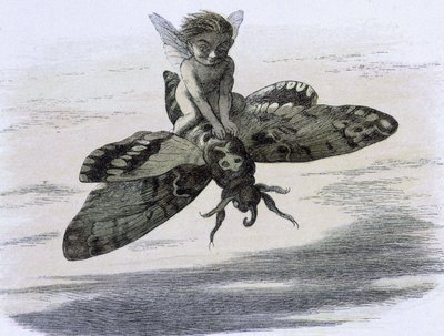 Un elfe chevauchant un papillon. Ilustración de Richard Doyle tiree de ""In Fairy land. Una serie de imágenes del mundo de los elfos"" acompañadas de un poema de W Allingham. 1869-1870. The British Library Institution Referencia: Shelfmark ID: 1876 e18 