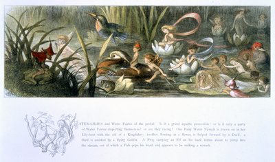 Nenúfares y Hadas del Agua, ilustración de 