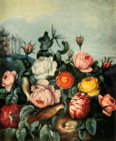 Rosas, 1799 de Richard Earlom