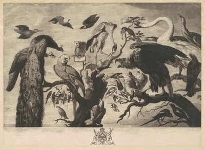 Un concierto de aves de Richard Earlom, after Mario Nuzzi