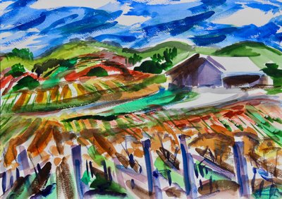 Napa en otoño de Richard Fox