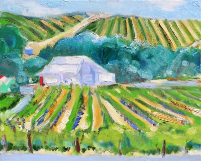 Granero blanco y viñedo, Napa de Richard Fox