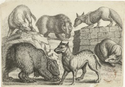 Dos osos, dos lobos y dos zorros
Animales después de varios artistas (título de la serie)
Animales después de varios artistas (título de la serie) de Richard Gaywood