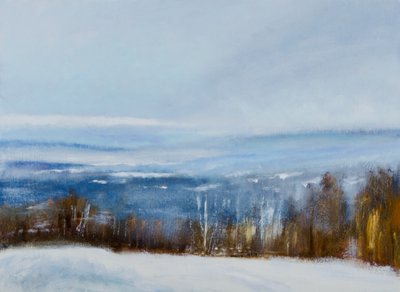 Paisaje invernal sereno de Richard Gombar
