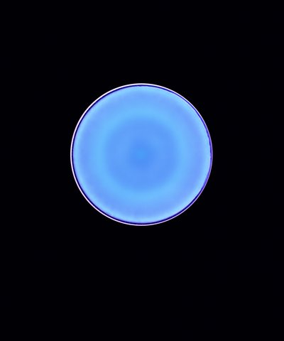 Círculo X, 2005 (fotograma digital tipo c) de Richard Green