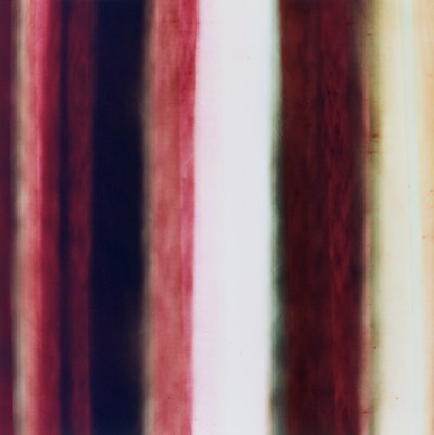 Raya II, 2005 de Richard Green