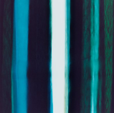 Franja V, 2005 de Richard Green