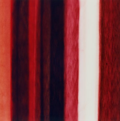Raya XII, 2005 de Richard Green