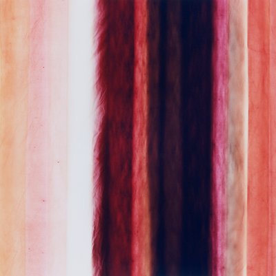 Raya X, 2005 de Richard Green