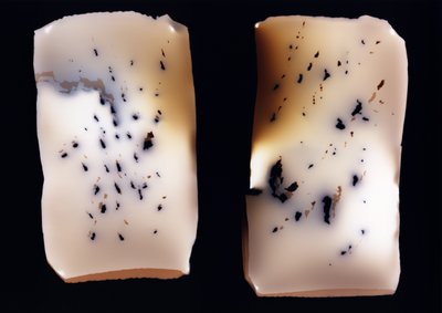 Sin título (estudio doble), 2001 de Richard Green