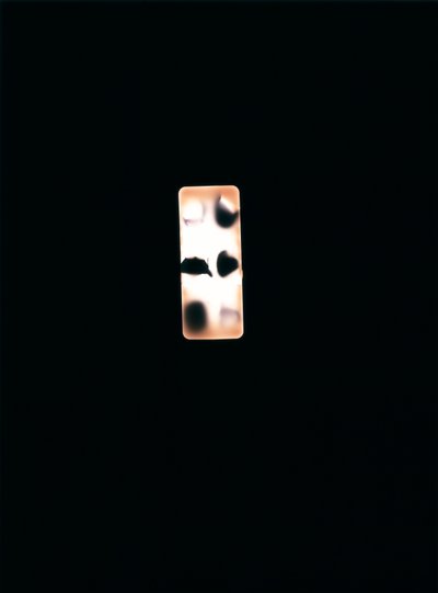 Sin título, 2004 (fotograma único tipo c) de Richard Green
