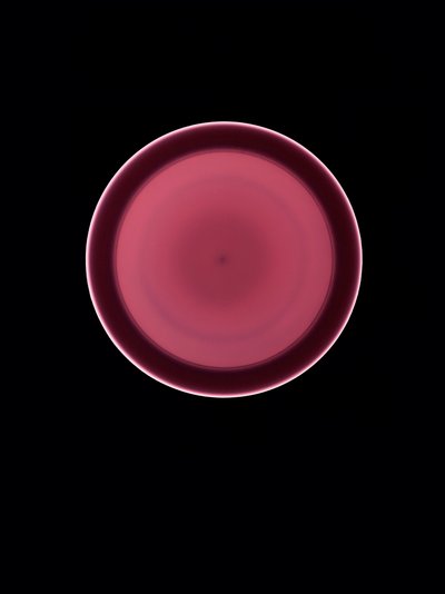Sin título, 2004 de Richard Green