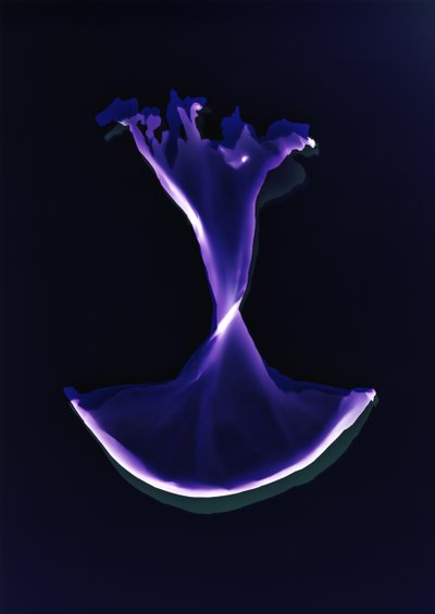 Sin título, 2004 de Richard Green