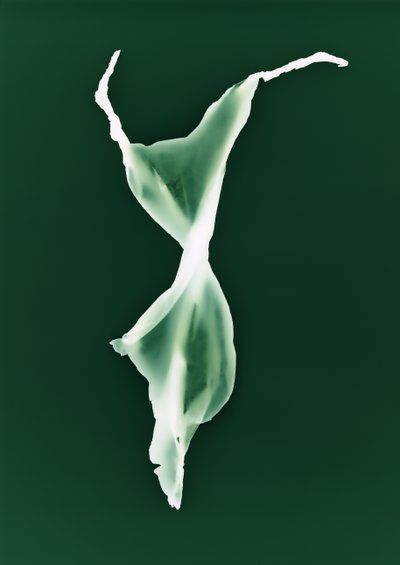 Sin título, 2004 de Richard Green