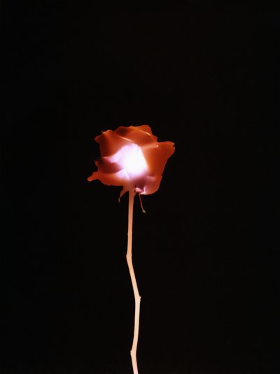 Sin título, 2007 de Richard Green