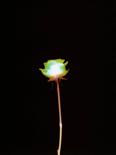 Sin título, 2007 de Richard Green