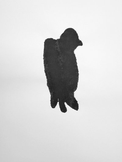 Sin título, 2009 (monotipo) de Richard Green