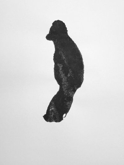 Sin título, 2009 (monotipo) de Richard Green