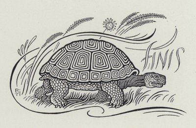 La Liebre y la Tortuga de Richard Heighway