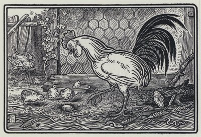 El Gallo y La Perla de Richard Heighway
