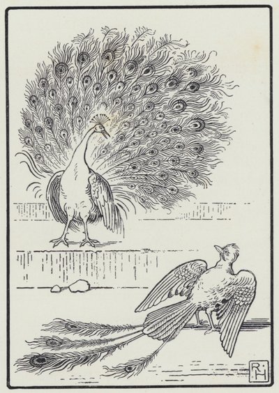 El Arrendajo y El Pavo Real de Richard Heighway