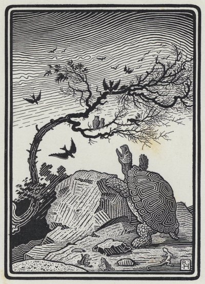 La Tortuga y los Pájaros de Richard Heighway