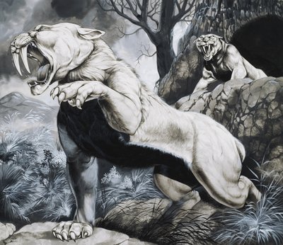 Tigres dientes de sable (gouache sobre papel) de Richard Hook