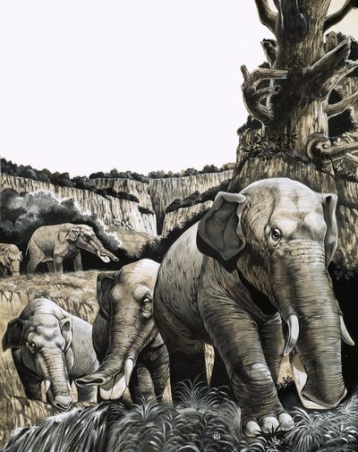 El extraño Amebelodon de Richard Hook