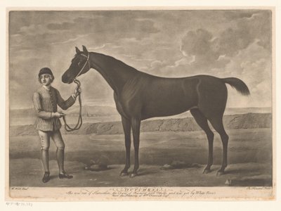 Caballo de carreras con jinete
Dutchess de Richard Houston
