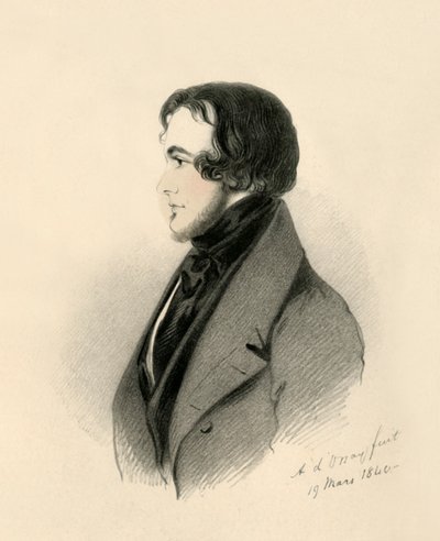 Vizconde Fitzharris, 1840 de Richard James Lane