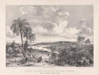 Campos a orillas del Río das Velhas de Richard Parkes Bonington