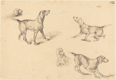 Cinco estudios de un pointer francés de Richard Parkes Bonington
