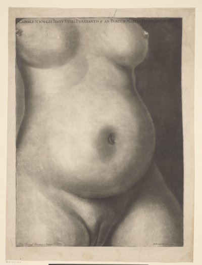 Torso de una mujer embarazada Seis impresiones anatómicas de un embarazo (título de la serie) Demostraciones de un útero preñado de una mujer en su tiempo completo (...) (título de la serie) Caroli Nicolai Jenty Uteri Praegnantis & ad Partum Maturi Demonst de Richard Purcell