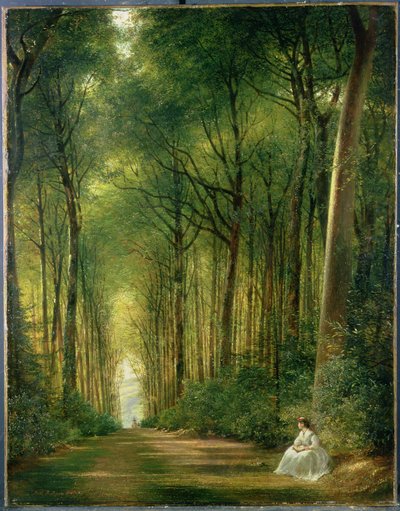 La avenida de hayas, Denbies, 1870 de Richard Redgrave