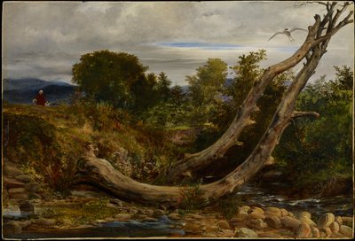 La garza perturbada, c.1850 de Richard Redgrave